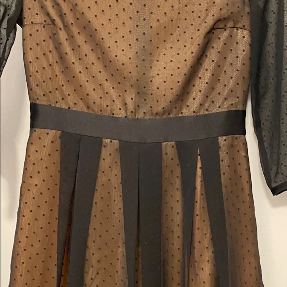 H&M Black and Tan Sheer Dress - Picture 4 of 11